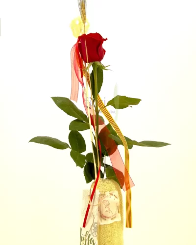 Rosa individual Luffa -Sant Jordi 2022-Fiori-Mataro