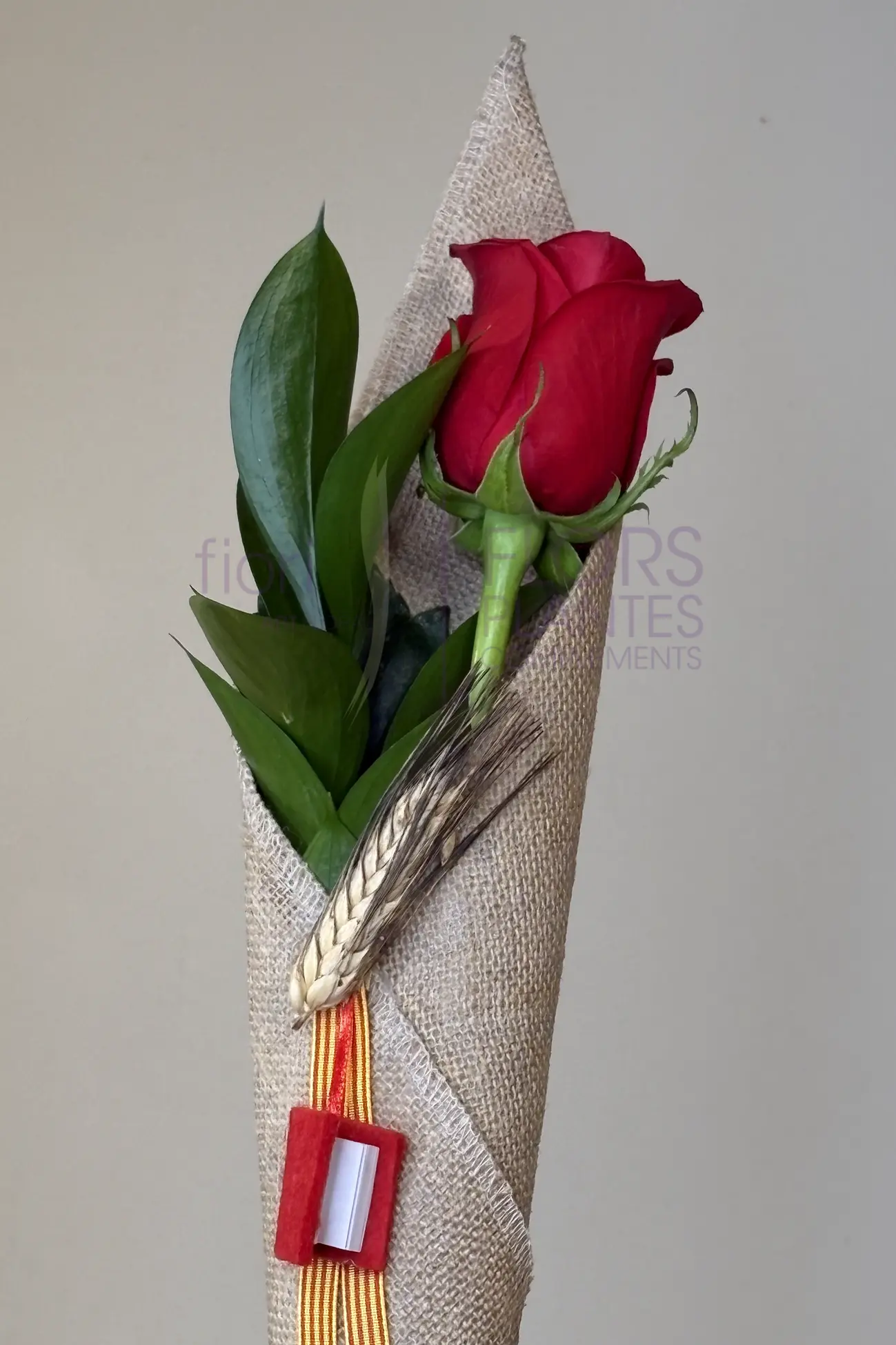 ROSA L'ESSENCIAL - Imatge 9