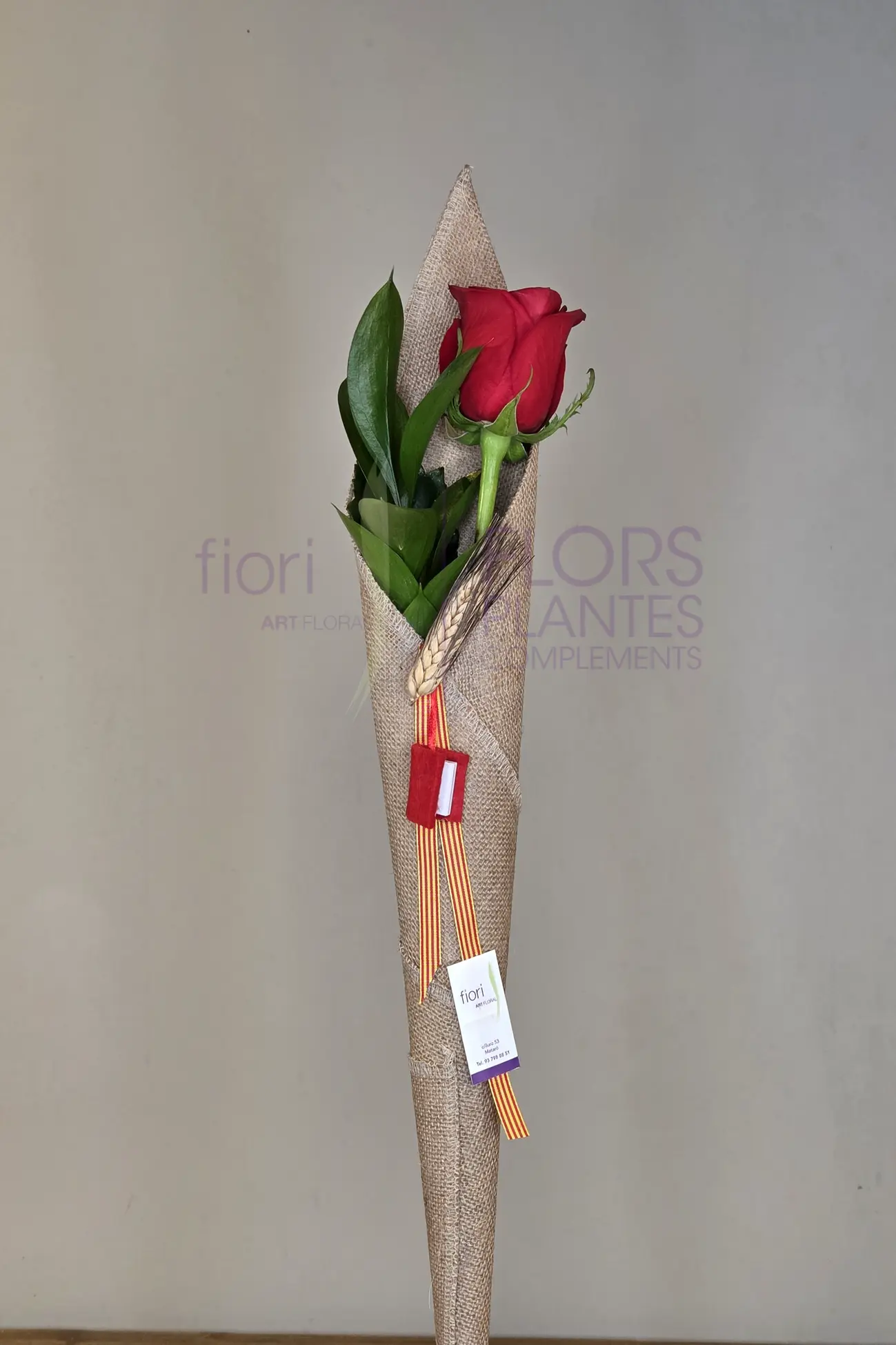 ROSA L'ESSENCIAL - Imatge 8