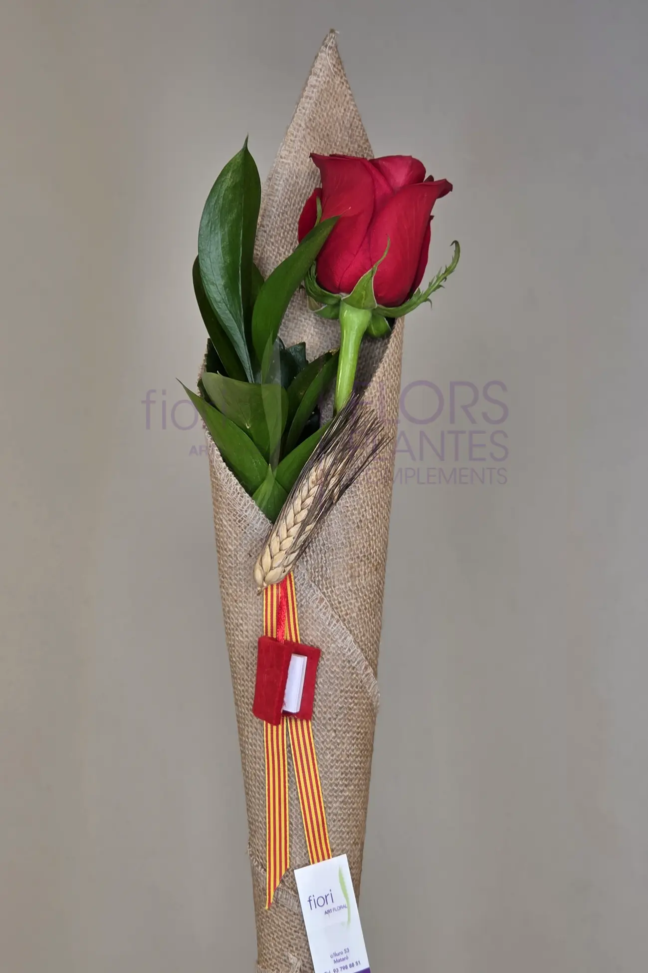ROSA L'ESSENCIAL - Imatge 7