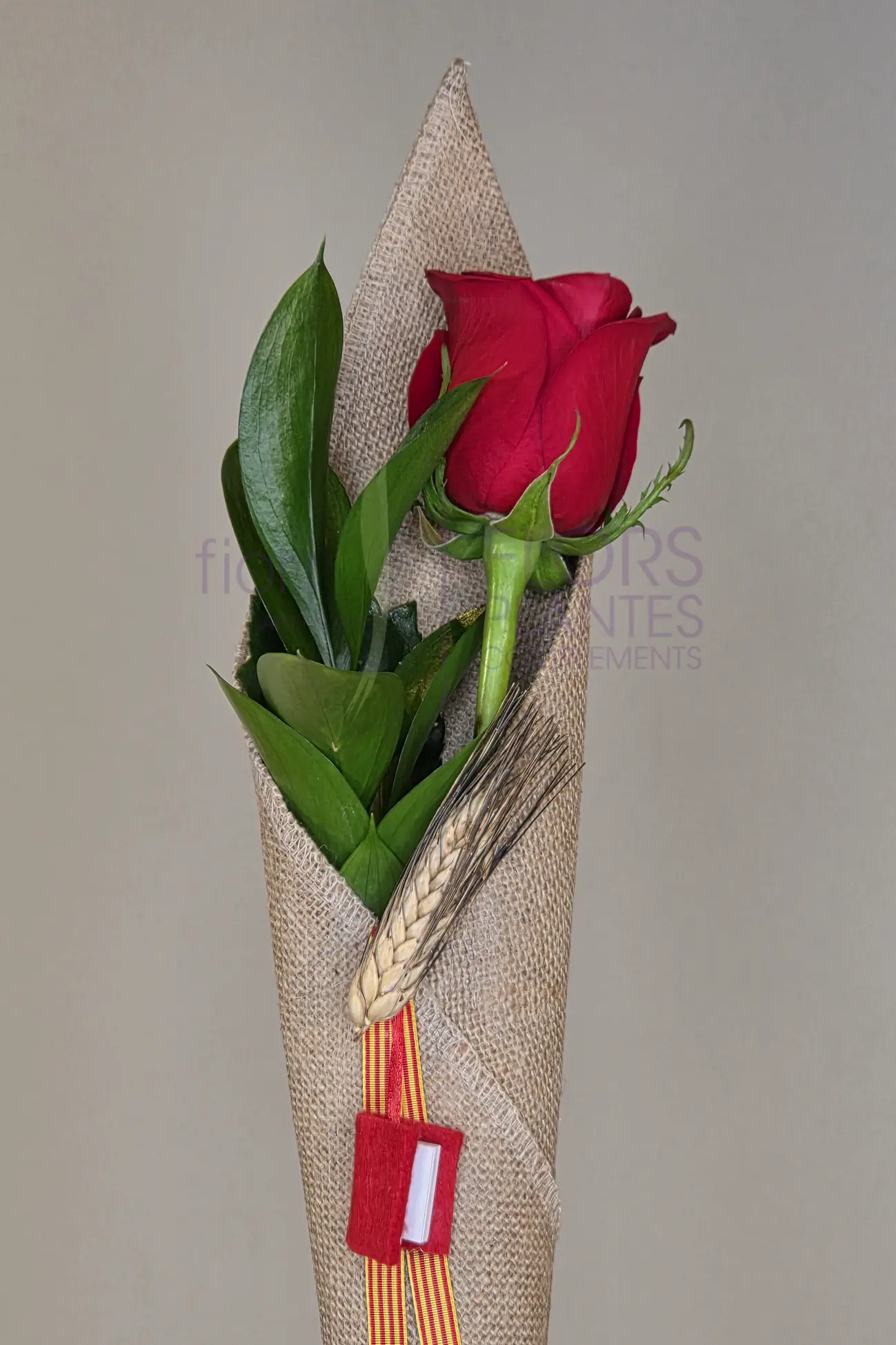ROSA L'ESSENCIAL - Imatge 3