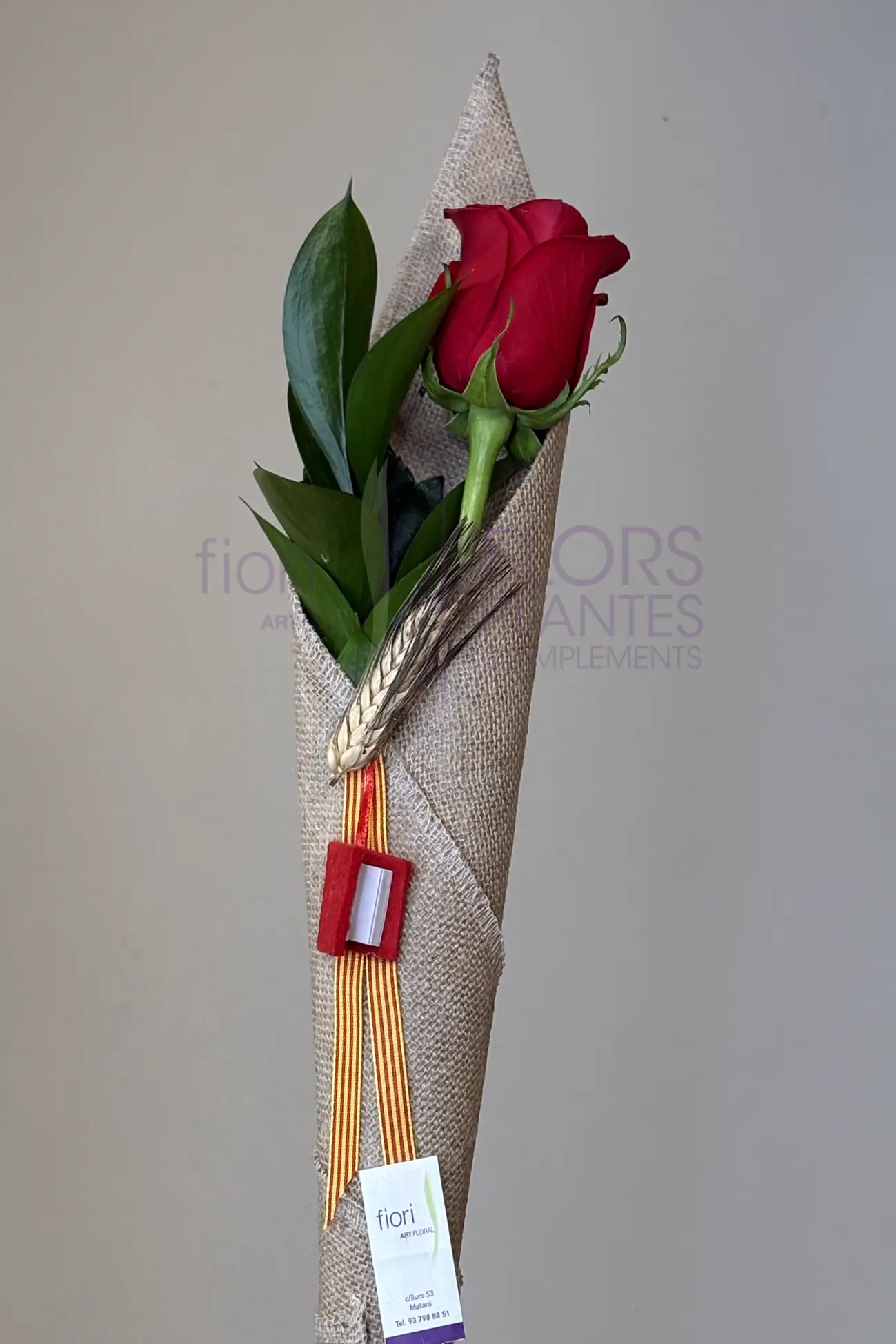 ROSA L'ESSENCIAL - Imatge 5